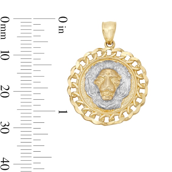 Lion Head Curb Chain Frame Medallion Two-Tone Charm in 10K Solid Gold