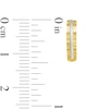 Thumbnail Image 2 of 10mm Diamond-Cut Bevelled Edge Huggie Hoop Earrings in 10K Two-Tone Gold