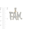 1/5 CT. T.W. Diamond "FAM" Necklace Charm in Sterling Silver with 14K Gold Plate