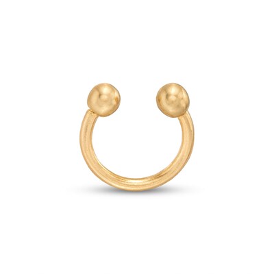 14K Gold Horseshoe