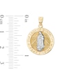 Thumbnail Image 2 of Multi-Finish Our Lady of Guadalupe Medallion Two-Tone Necklace Charm in 10K Gold