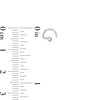 Thumbnail Image 3 of 020 Gauge 7mm Cubic Zirconia Three Piece Nose Screw Set in Titanium