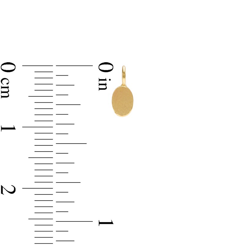 Oval Hoop Charm in 10K Solid Gold