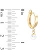 Thumbnail Image 2 of Freshwater Cultured Pearl Drop Huggie Hoop Earrings in 10K Solid Gold