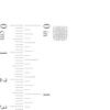 Thumbnail Image 1 of 1/20 CT. T.W. Diamond Pavé Square Stud Earrings in Sterling Silver with 14K Gold Plate
