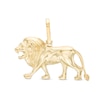 Thumbnail Image 0 of Lion Profile Necklace Charm in 10K Hollow Gold