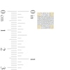 Thumbnail Image 2 of 1/10 CT. T.W. Square Corner Square Stud Earrings in Sterling Silver with 14K Gold Plate