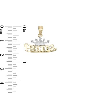 Preciosa Crown Two-Tone Necklace Charm in 10K Gold