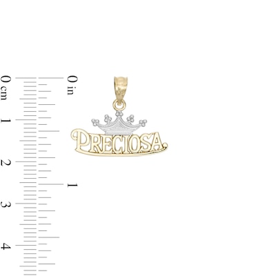 Preciosa Crown Two-Tone Necklace Charm in 10K Gold