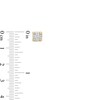 Thumbnail Image 2 of 1/8 CT. T.W. Diamond Poke Corner Stud Earrings in 10K Gold