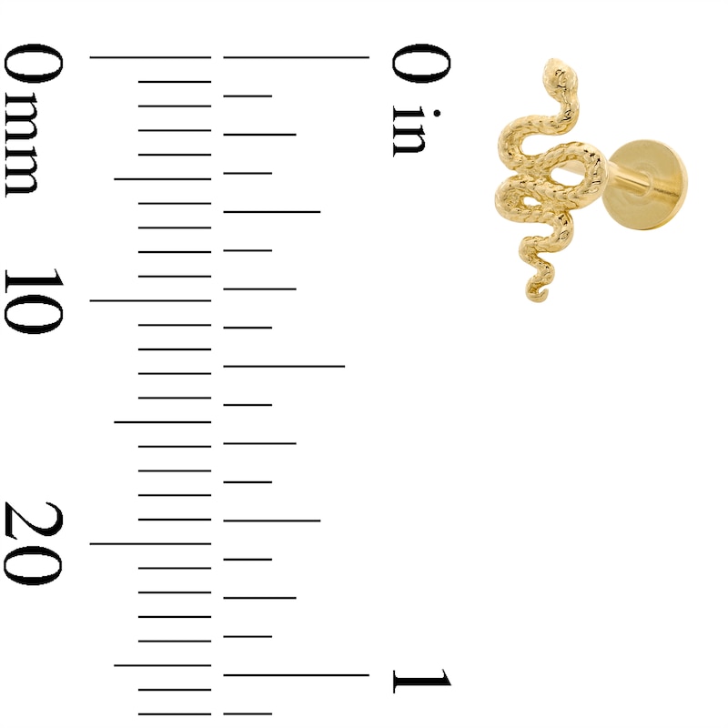 Main Image 4 of 14K Gold Snake Cartilage Barbell - 18G 5/16"