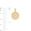 Thumbnail Image 1 of Semicolon Medallion Necklace Charm in 10K Solid Gold
