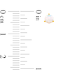 Thumbnail Image 2 of 10K Solid Gold Simulated Opal Rounded Studs