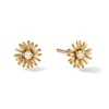 Thumbnail Image 0 of 10K Solid Gold CZ Daisy Studs