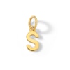 Thumbnail Image 0 of 14K Semi-Solid Gold S Charm