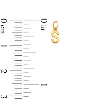 14K Semi-Solid Gold S Charm