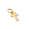 Thumbnail Image 1 of 14K Semi-Solid Gold T Charm