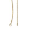 Thumbnail Image 1 of 14K Hollow Gold Rope Chain - 18"