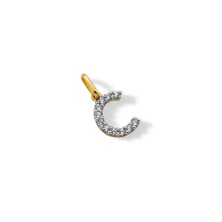 10K Solid Gold CZ C Initial Charm