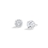 Thumbnail Image 0 of ​​​​​​​14K Solid White Gold CZ 6mm Piercing Studs