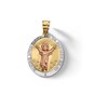 Thumbnail Image 1 of 10K Solid Gold Divino Medallion Tri-Tone Necklace Charm