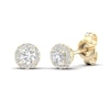 Thumbnail Image 0 of ​​​​​​​​​​​​​​10K Solid Gold 1/2 CT. T.W. Lab-Created Diamond Small Round Halo Studs