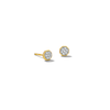 Thumbnail Image 1 of 10K Solid Gold 1/20 CT. T.W. Diamond Small Octagon Studs