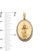 Thumbnail Image 4 of 14K Gold Plated 1/20 CT. T.W. Diamond Iris Necklace Charm