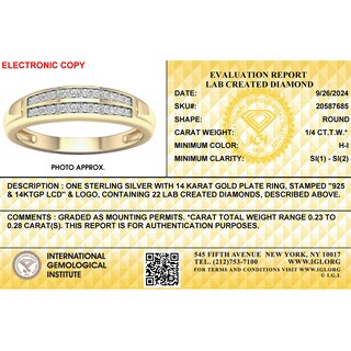 14K Gold Plated 1/4 CT. T.W. Lab-Grown Diamond Double Row Band