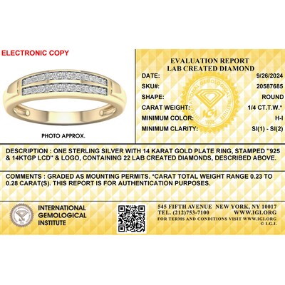 14K Gold Plated 1/4 CT. T.W. Lab-Grown Diamond Double Row Band