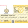 Thumbnail Image 4 of 14K Gold Plated 1/2 CT. TW. Lab-Grown Diamond Lion Medallion Necklace Charm