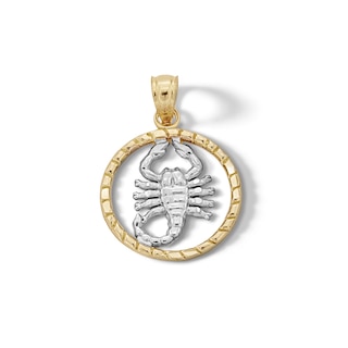 ​​​​​​​10K Solid Gold Scorpion Medallion Two-Tone Necklace Charm