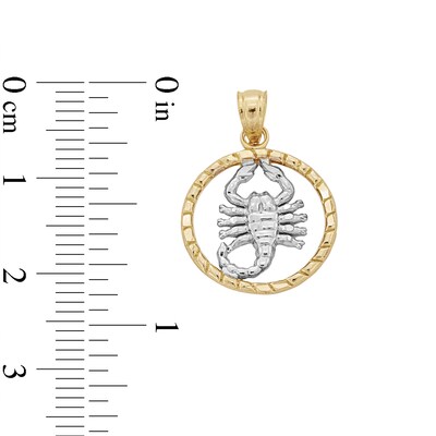 ​​​​​​​10K Solid Gold Scorpion Medallion Two-Tone Necklace Charm