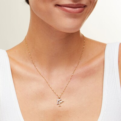 10K Solid Gold Double Dolphin Two-Tone Necklace Charm