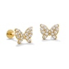Thumbnail Image 1 of 10K Gold CZ Pavé Butterfly Flat Back Studs