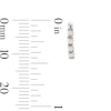 Thumbnail Image 3 of Sterling Silver Synthetic Opal Huggie Hoops
