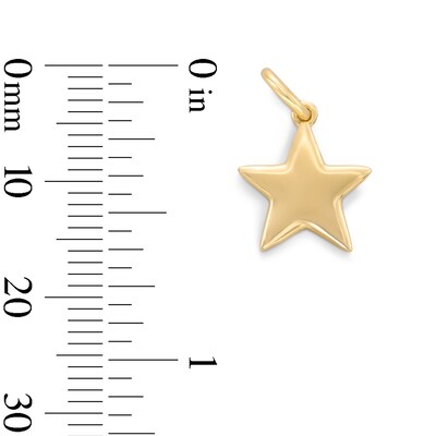 14K Gold Plated Star Necklace Charm