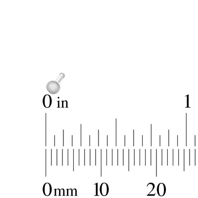 Semi-Solid Stainless Steel Nose Stud Set - 20G 5/16”