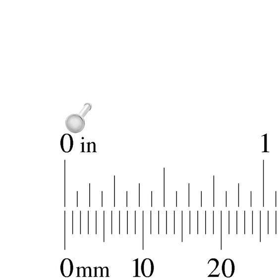 Semi-Solid Stainless Steel Nose Stud Set - 20G 5/16”