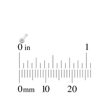 Semi-Solid Stainless Steel Nose Stud Set - 20G 5/16”
