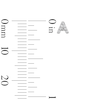 Thumbnail Image 3 of Solid Sterling Silver CZ Initial “A” Studs