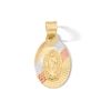 Thumbnail Image 1 of 10K Tri-Tone Solid Gold Mini Our Lady of Guadalupe Charm