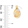 Thumbnail Image 2 of 10K Tri-Tone Solid Gold Mini Our Lady of Guadalupe Charm