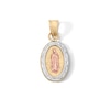 Thumbnail Image 1 of 10K Gold Bonded Tri-Tone Our Lady of Guadalupe Charm