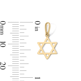 10K Solid Gold Mini Star of David Charm