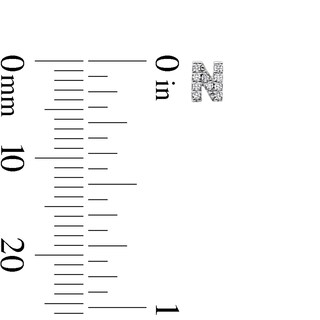 Sterling Silver CZ "N" Initial Studs