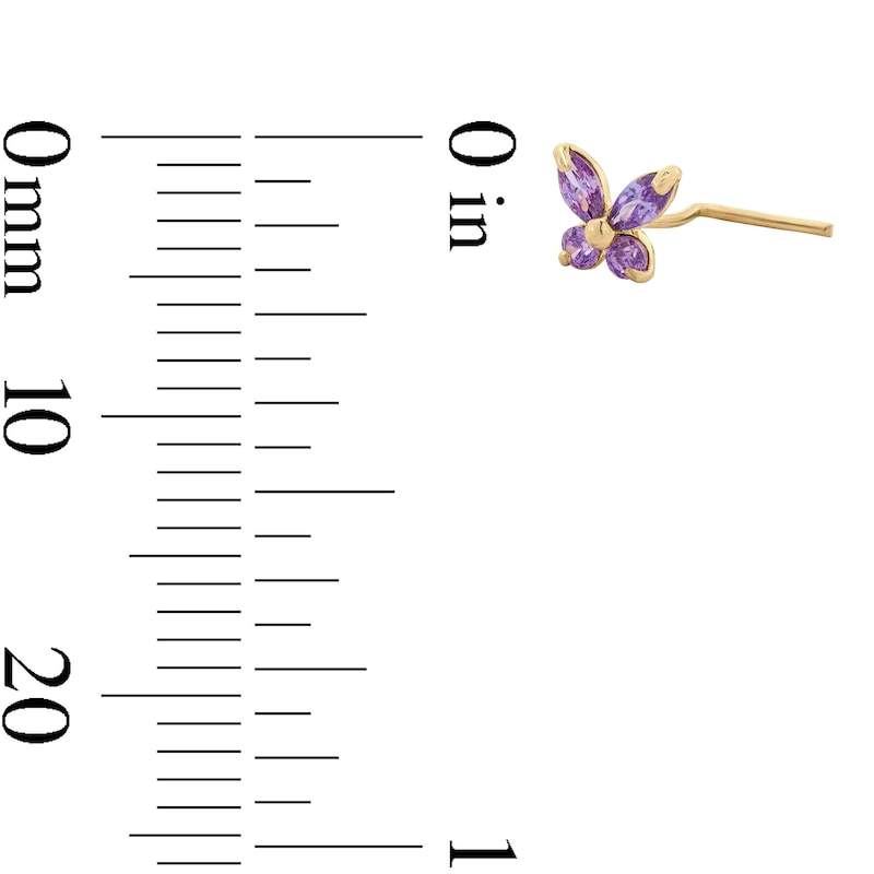 &nbsp;
