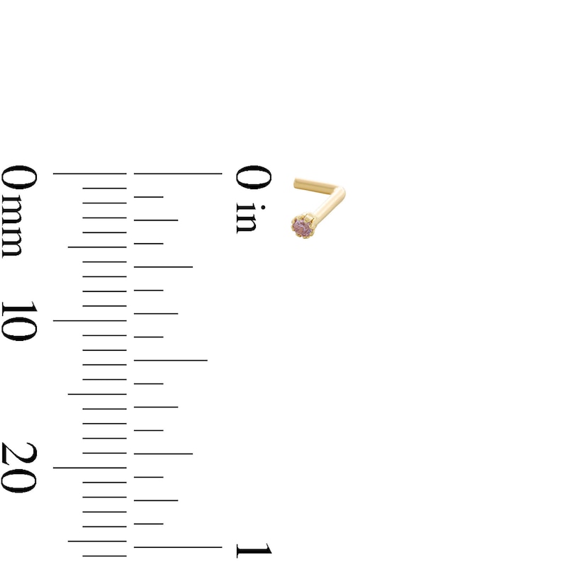 &nbsp;