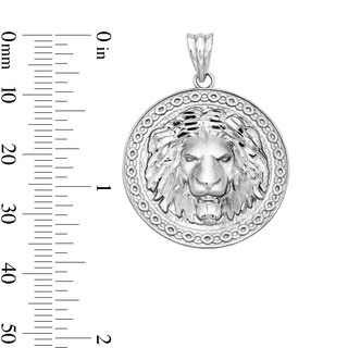 Solid Sterling Silver Lion Head Medallion Charm