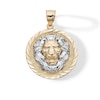 Sterling Silver and 14K Gold Plated Lion's Head Medallion Charm